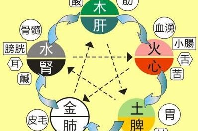 五脏各有所需 养生投其所好