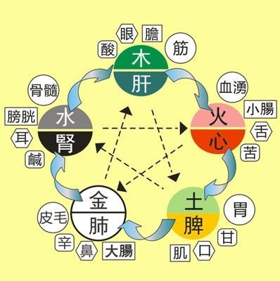 五脏各有所需 养生投其所好