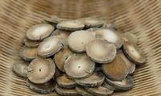 橘红为饮化寒痰