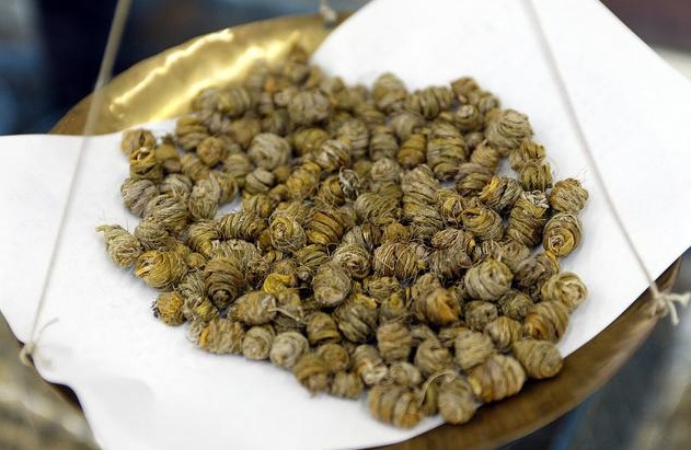 名贵中药名贵花──铁皮石斛花